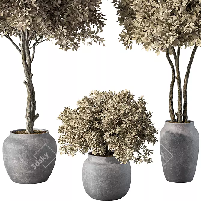 Botanical Sanctuary Set 3D model image 2