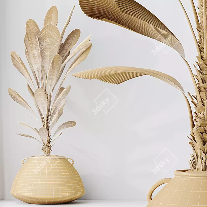 Exotic Licuala Grandis Palm Set 3D model image 5