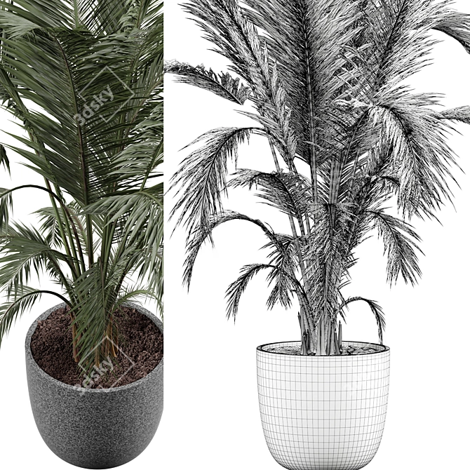 Modern Indoor Plant 3D Model 3D model image 3