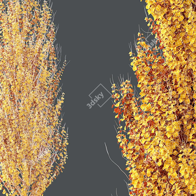  Maple Sapindaceae & Acer Saccharinum Models 3D model image 6