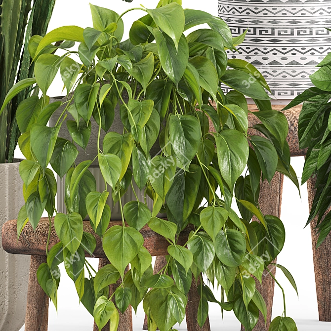 Natural Indoor Plants on Table 3D model image 2