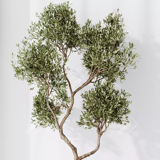 Majestic Olive Faux Tree Mediterranean 3D model image 6