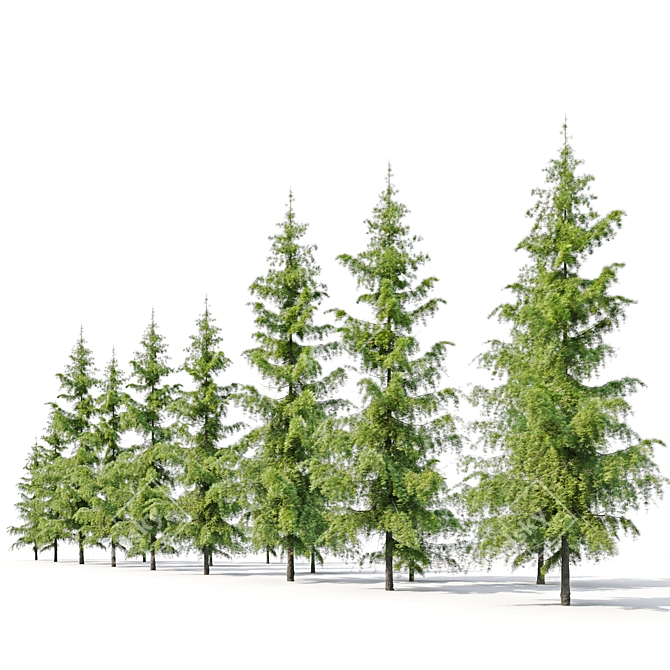 Himalayan Cedar Tree Bundle 3D model image 3