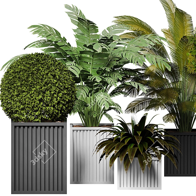 Sleek Indoor Plants for 3D 3D model image 3