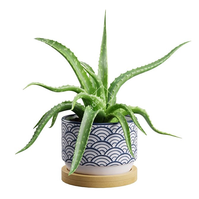 Lush Aloe Vera Mini Pot 3D model image 1