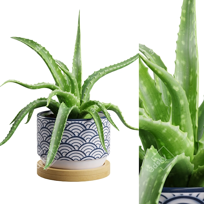 Lush Aloe Vera Mini Pot 3D model image 2