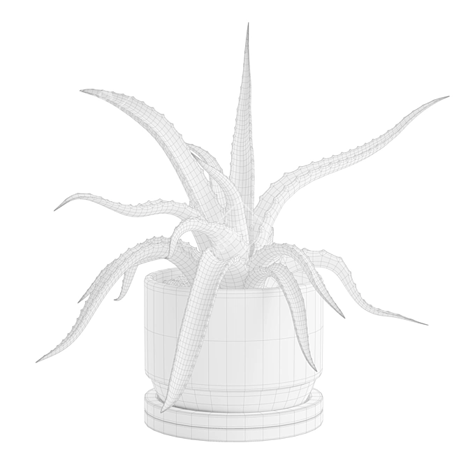 Lush Aloe Vera Mini Pot 3D model image 3