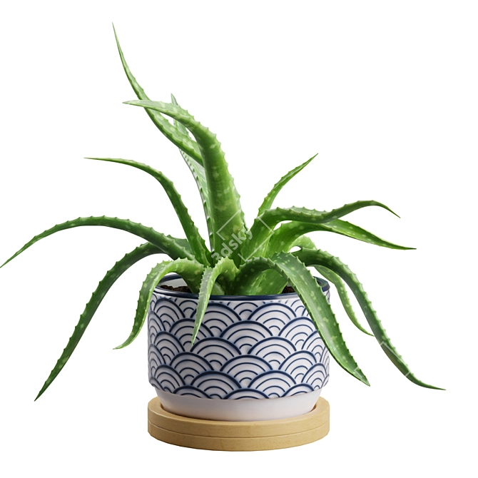 Lush Aloe Vera Mini Pot 3D model image 4