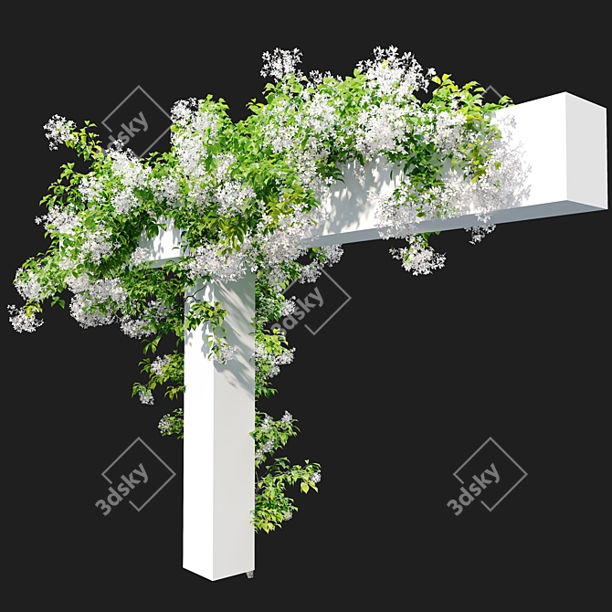 Climbing Hydrangea 3m Plant 3D model image 3