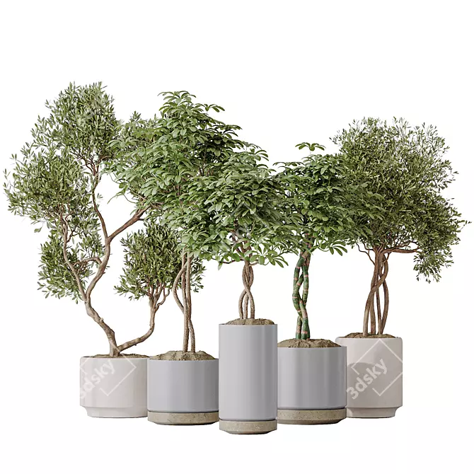 Elegant Tree Vases Collection 3D model image 1