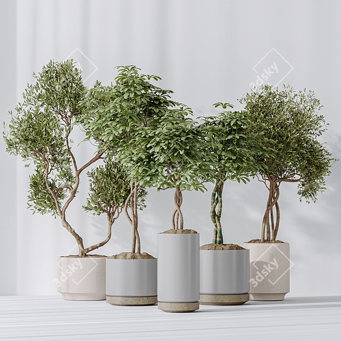 Elegant Tree Vases Collection 3D model image 2