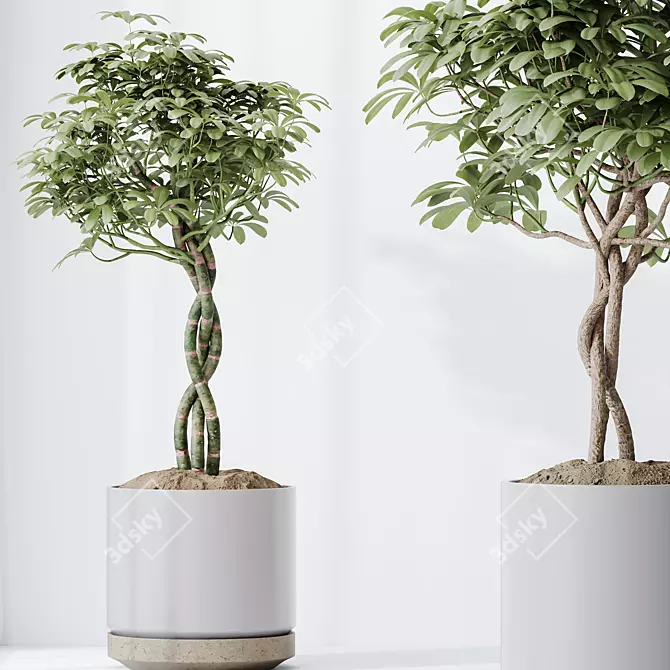 Elegant Tree Vases Collection 3D model image 4