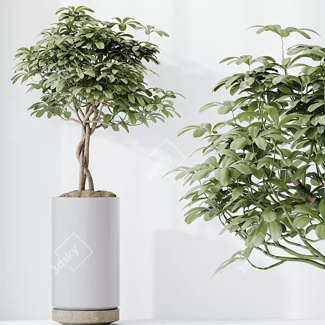 Elegant Tree Vases Collection 3D model image 5