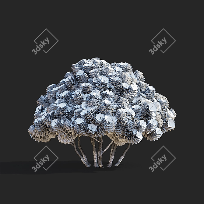 Mountain Pine 3D Model Bundle 3D model image 5