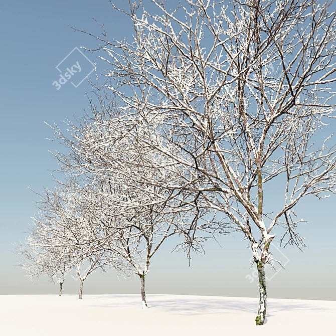 Green Ash 3D Tree Model 3D model image 4