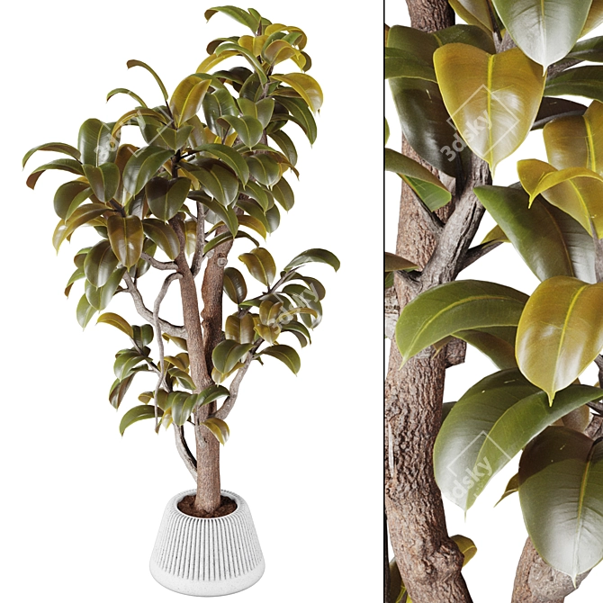 3D Plant Collection Bundle OBJ FBX 3D model image 2