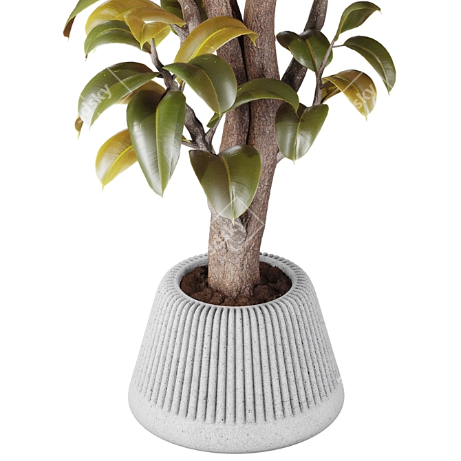 3D Plant Collection Bundle OBJ FBX 3D model image 4