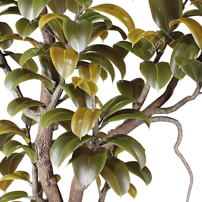 3D Plant Collection Bundle OBJ FBX 3D model image 5