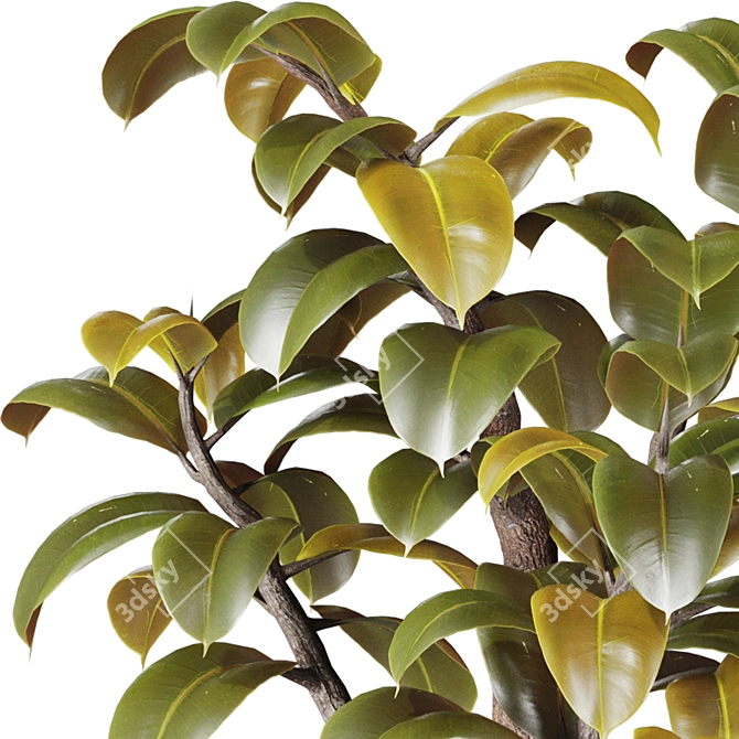 3D Plant Collection Bundle OBJ FBX 3D model image 6
