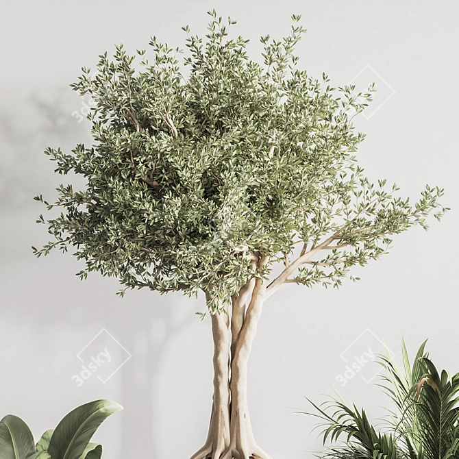 Elegant Indoor Plant Set 132 3D model image 6