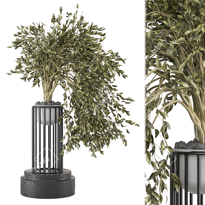 3D Indoor Plants Collection Set 3D model image 1