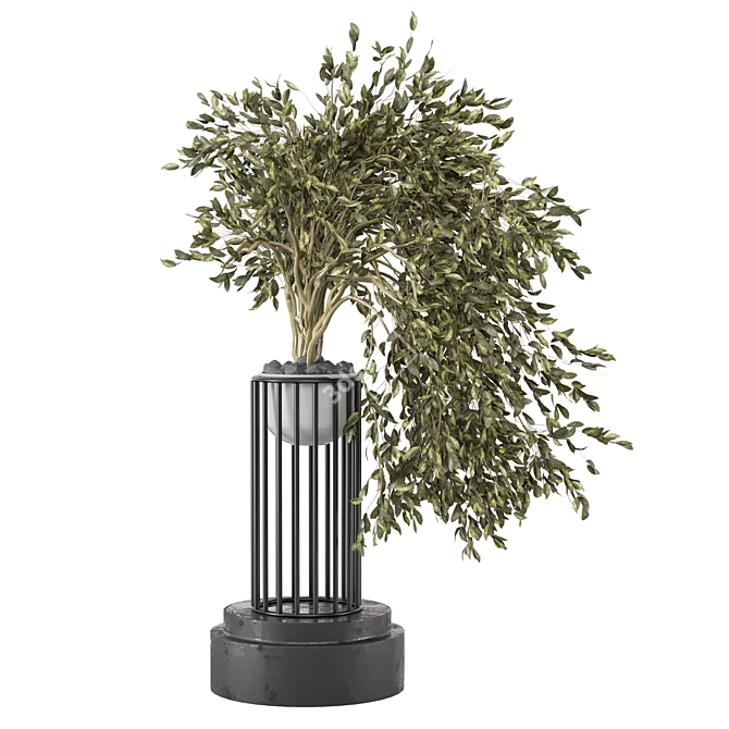 3D Indoor Plants Collection Set 3D model image 3