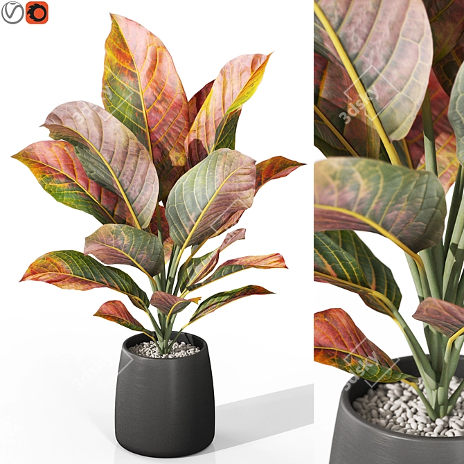  Plants Collection 1037: 3D Model 3D model image 1