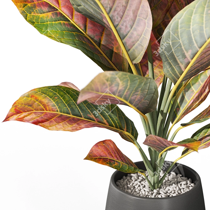  Plants Collection 1037: 3D Model 3D model image 3