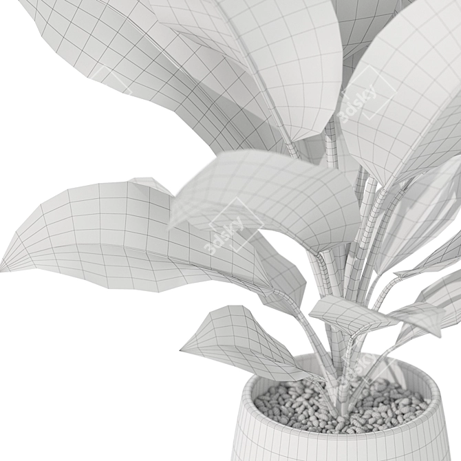  Plants Collection 1037: 3D Model 3D model image 5