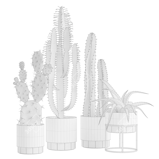 Exotic Indoor Plants Collection 63 3D model image 3