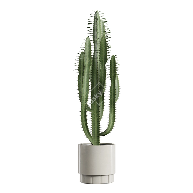 Exotic Indoor Plants Collection 63 3D model image 5