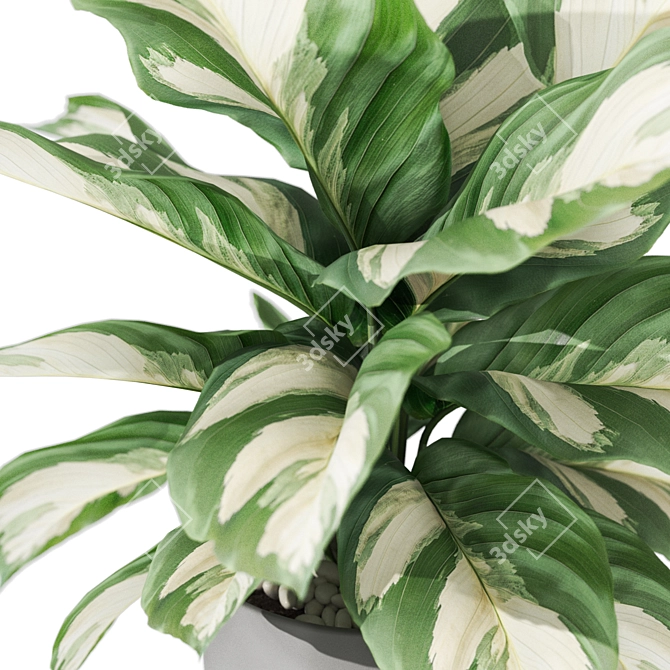 Botanical Collection 1038: Detailed Foliage 3D model image 3