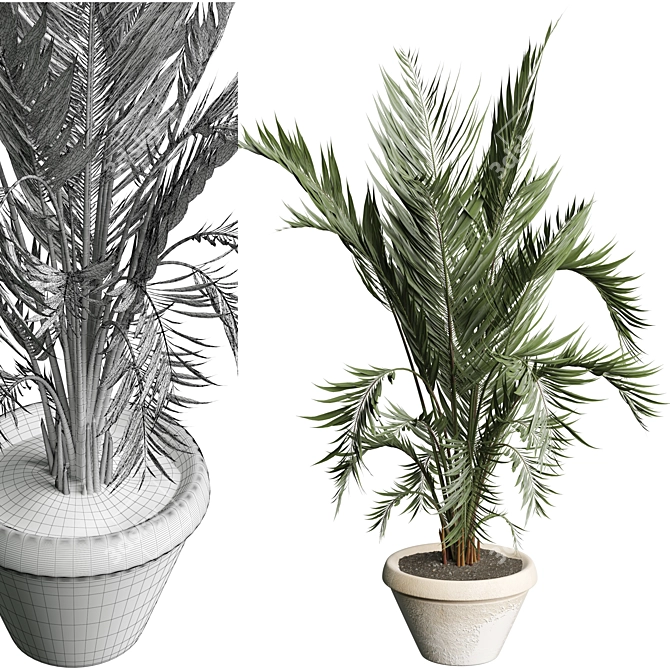 Modern Indoor Plant 3D Model 3D model image 3