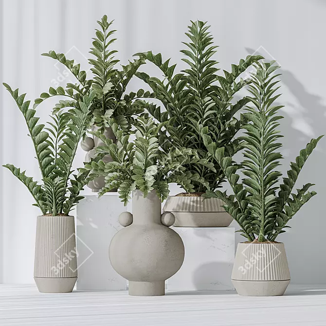 Zamioculcas Zamiifolia 3D Plant Bundle 3D model image 2