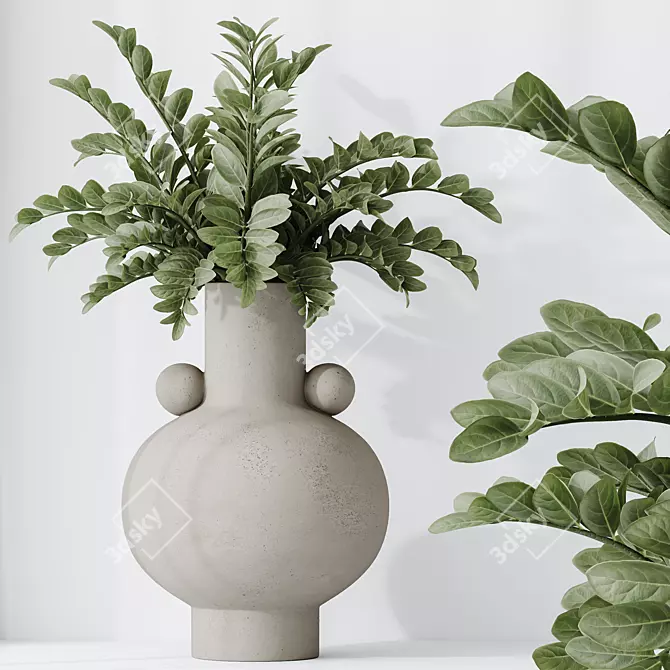 Zamioculcas Zamiifolia 3D Plant Bundle 3D model image 5