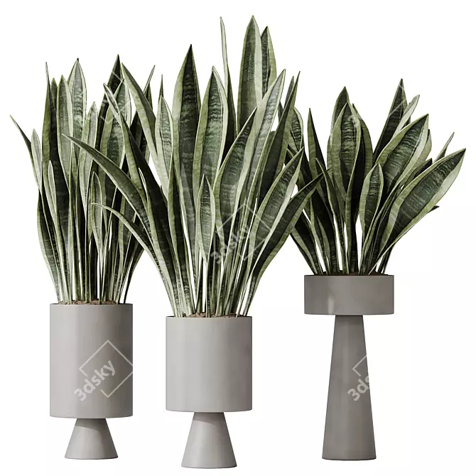 Elegant Sansevieria Trifasciata Houseplant 3D model image 1