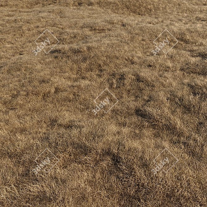 High-Quality Dried Grass Pack 3D model image 1