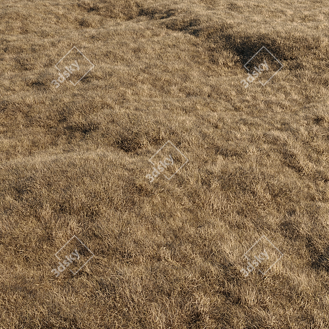 High-Quality Dried Grass Pack 3D model image 2