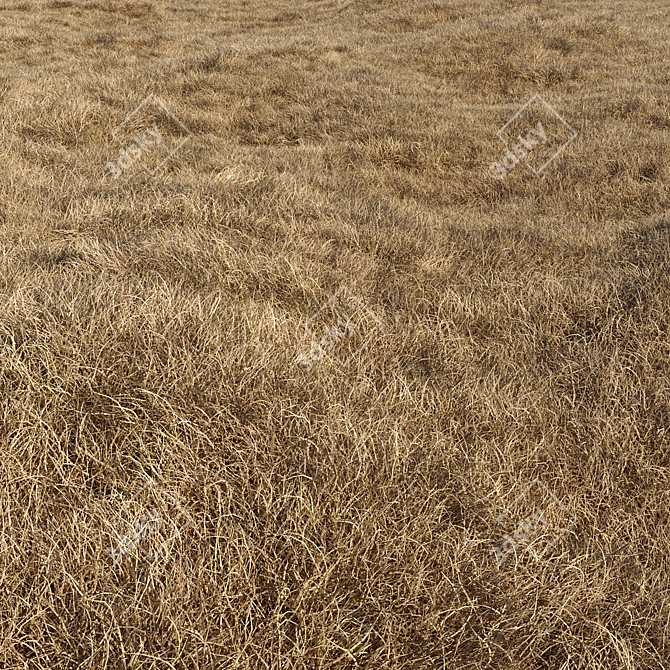 High-Quality Dried Grass Pack 3D model image 3