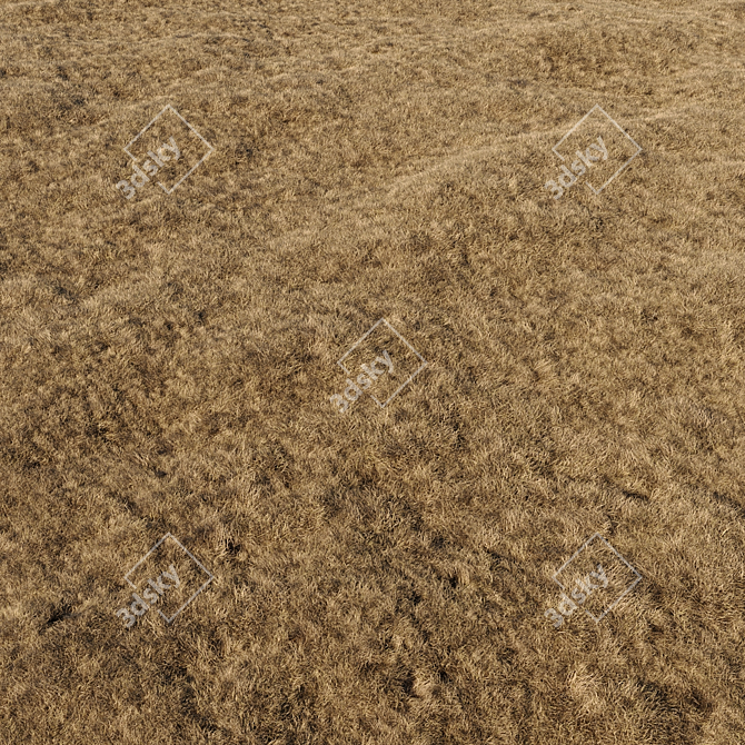 High-Quality Dried Grass Pack 3D model image 4