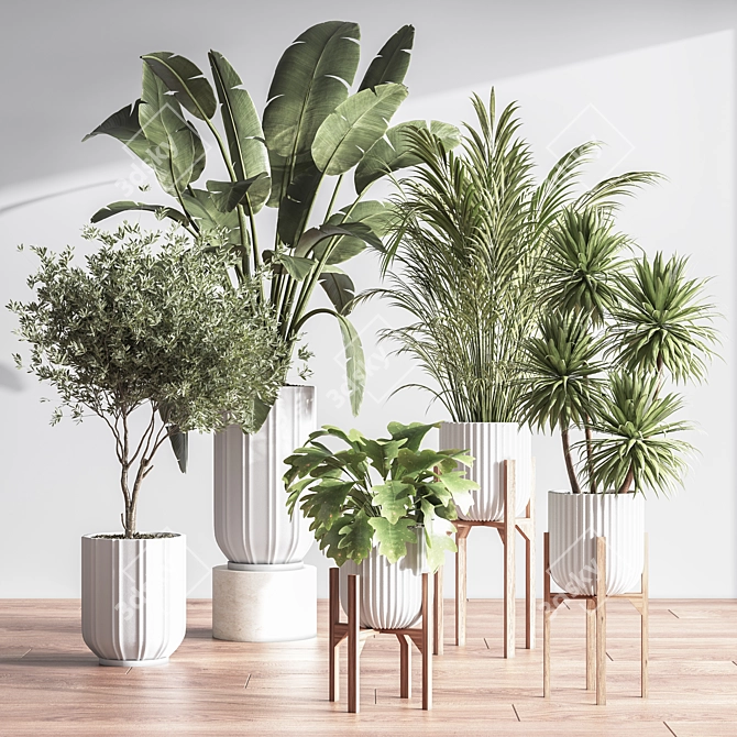 Lush Indoor Plant Set 3D model image 3