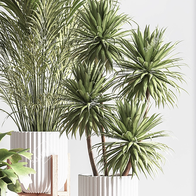 Lush Indoor Plant Set 3D model image 5