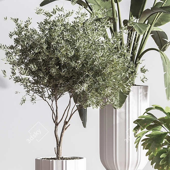 Lush Indoor Plant Set 3D model image 7