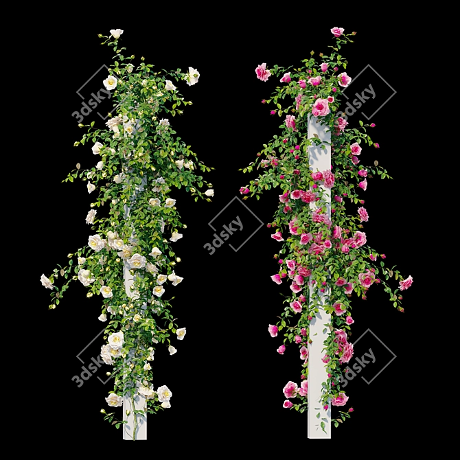 Title: Colorful Climbing Rose Flowers 3D model image 3