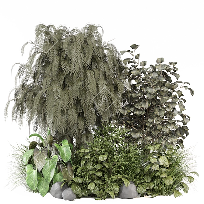Botanical Plants Set 1193 3D model image 6