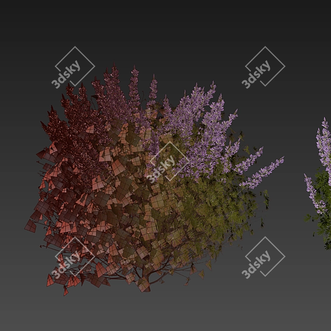 Premium Lupinus Albifrons Bush Model 3D model image 7