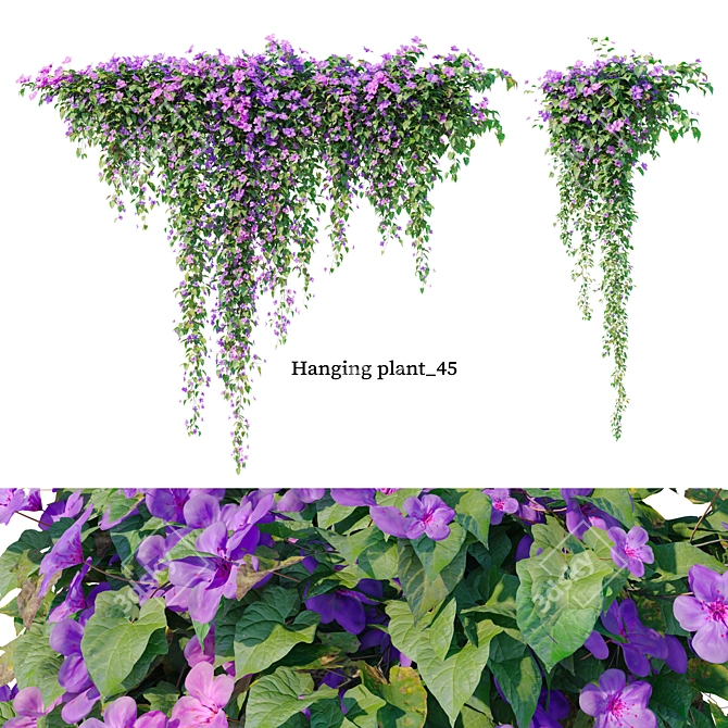 Dual Hanging Plants Set: 2m & 0.6m 3D model image 1