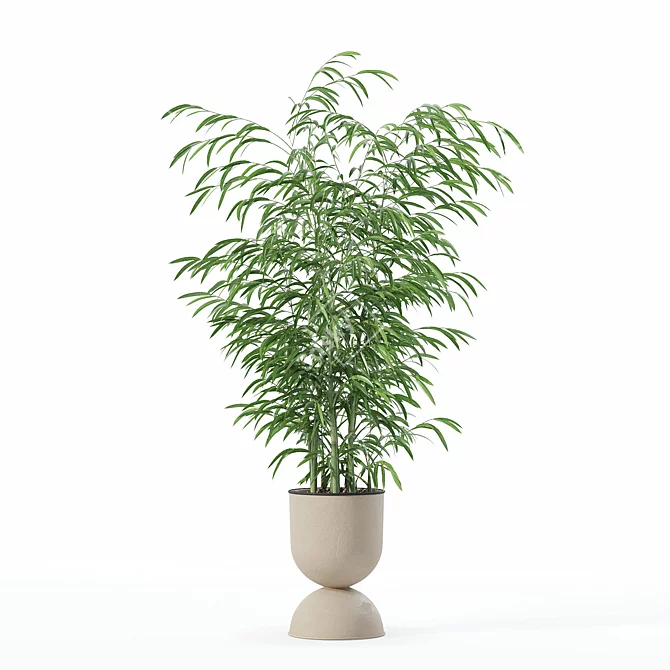 Modern Bamboo Plant in Pot 3D model image 3