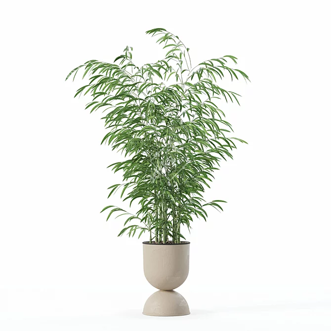 Modern Bamboo Plant in Pot 3D model image 4