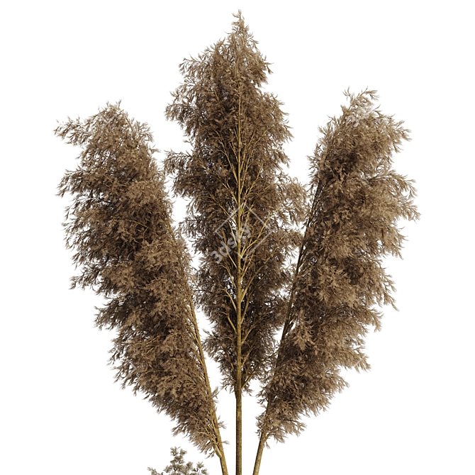 Minimal Pampas Grass Vase Bundle 3D model image 5